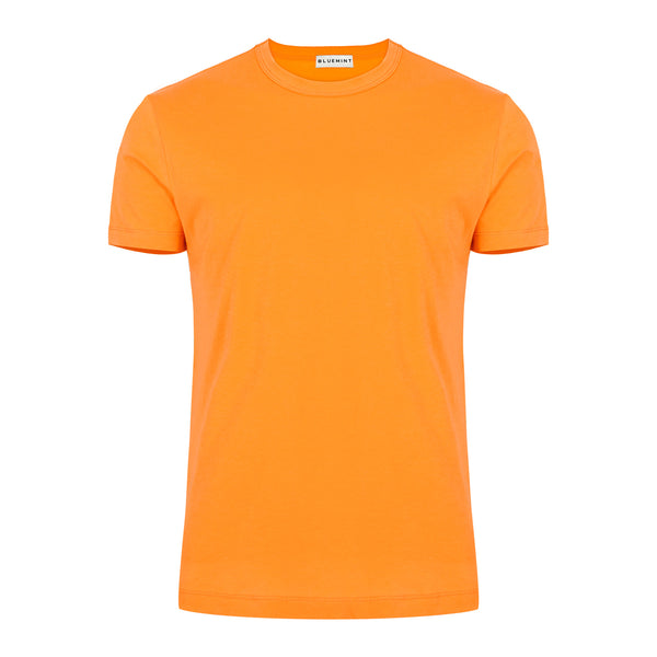 Bluemint max t-shirts