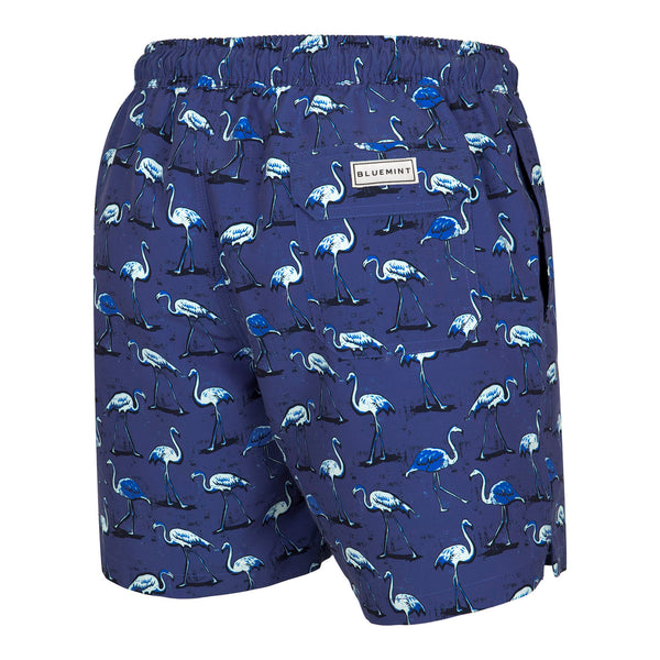 Bluemint arthus swimwear