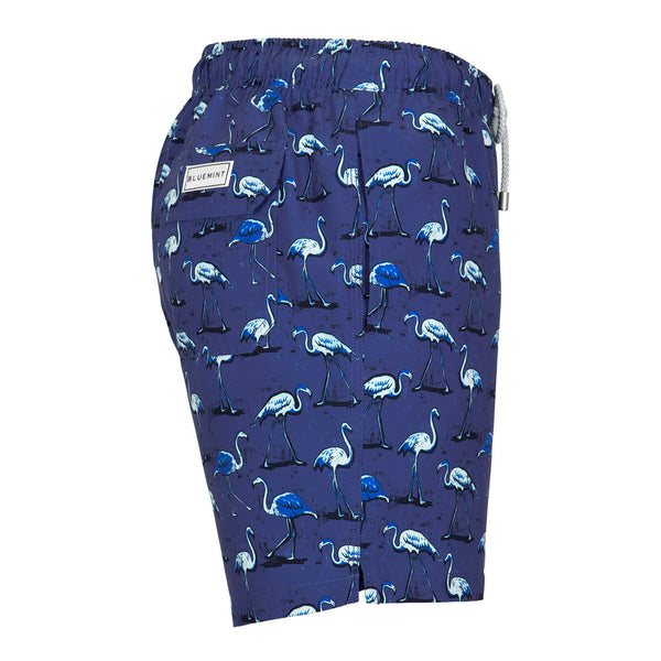 Bluemint arthus swimwear