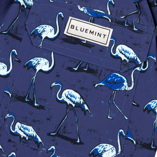 Bluemint arthus swimwear