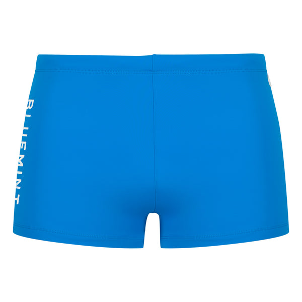 Bluemint bryan swimwear