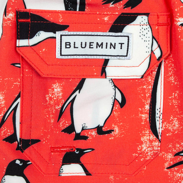 Bluemint arthus boy stretch swimwear