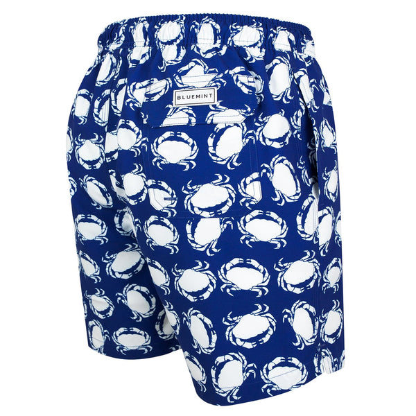 Bluemint arthus swimwear