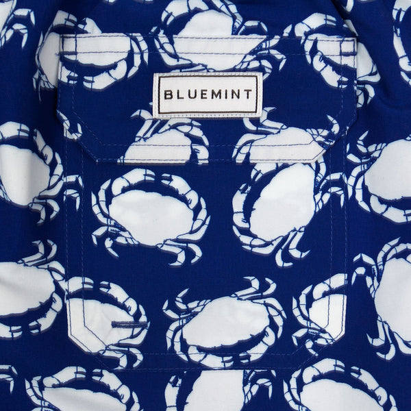 Bluemint arthus swimwear