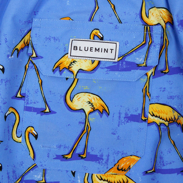 Bluemint arthus stretch swimwear