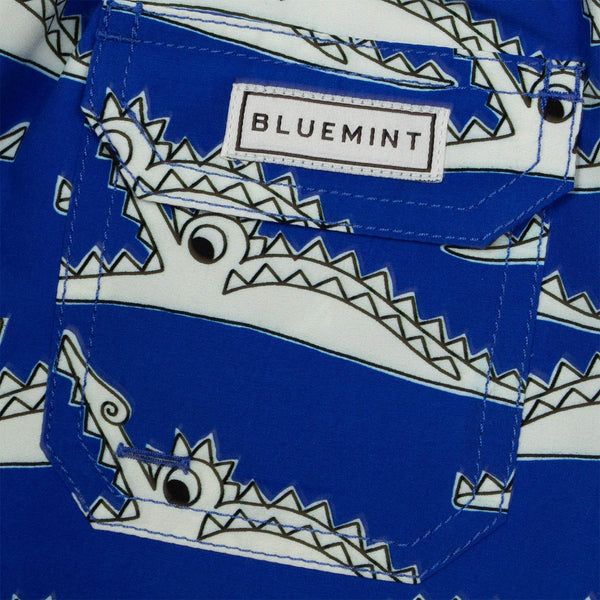 Bluemint arthus boy swimwear