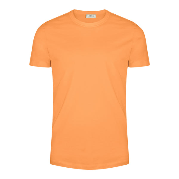 Bluemint leo t-shirts