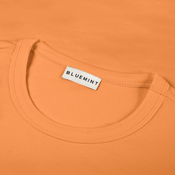 Bluemint leo t-shirts