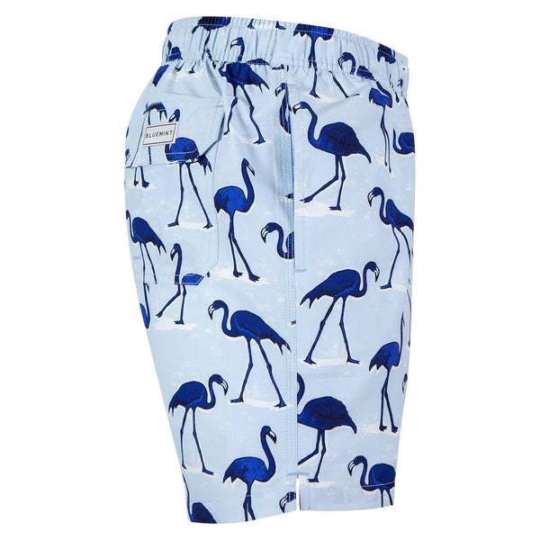 Bluemint arthus swimwear