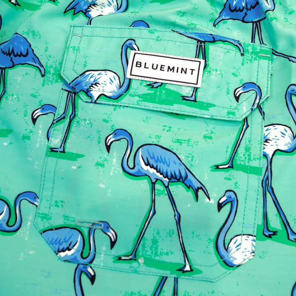 Bluemint arthus swimwear