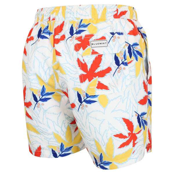 Bluemint arthus swimwear