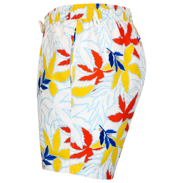 Bluemint arthus swimwear