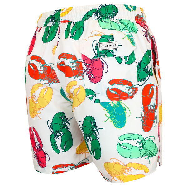 Bluemint arthus swimwear
