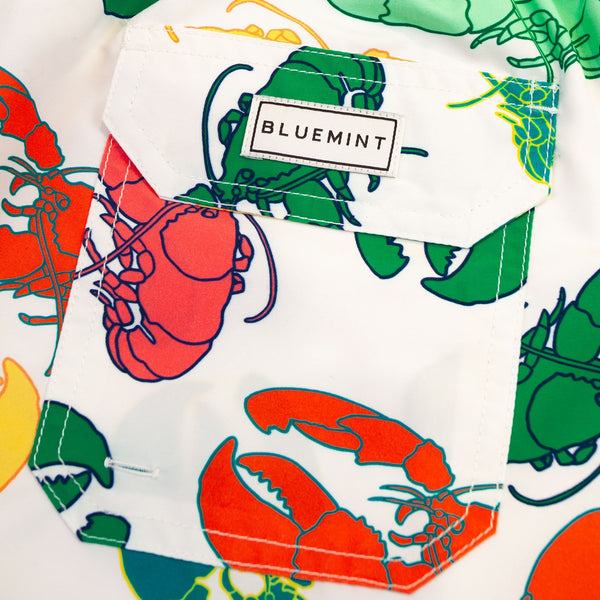 Bluemint arthus swimwear