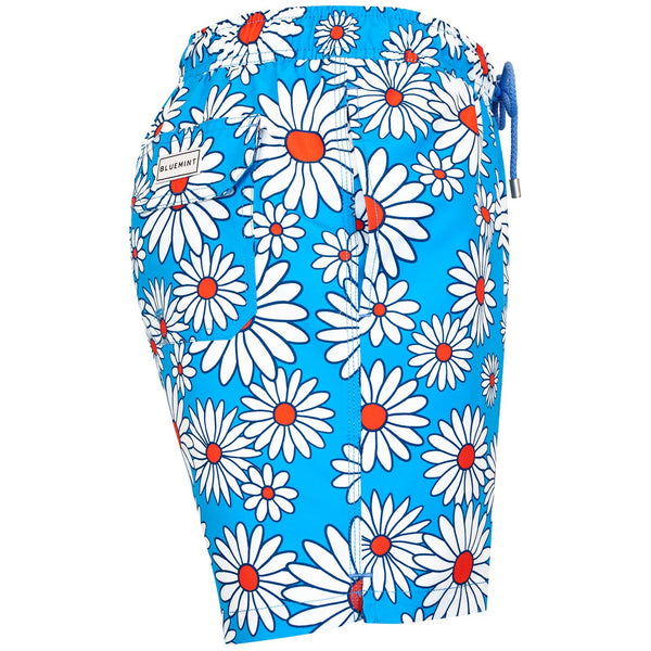 Bluemint arthus swimwear