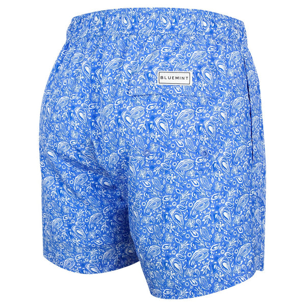 Bluemint logan swimwear