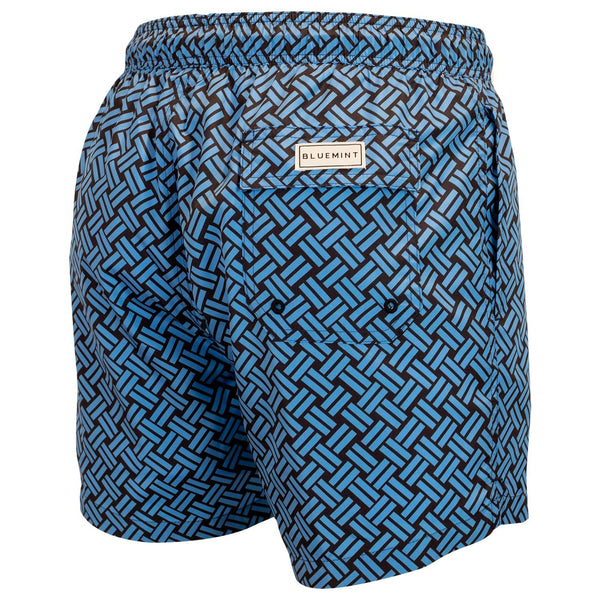 Bluemint logan swimwear