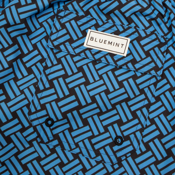 Bluemint logan swimwear