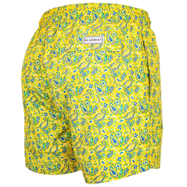 Bluemint logan swimwear