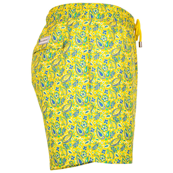 Bluemint logan swimwear