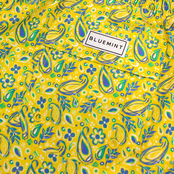 Bluemint logan swimwear