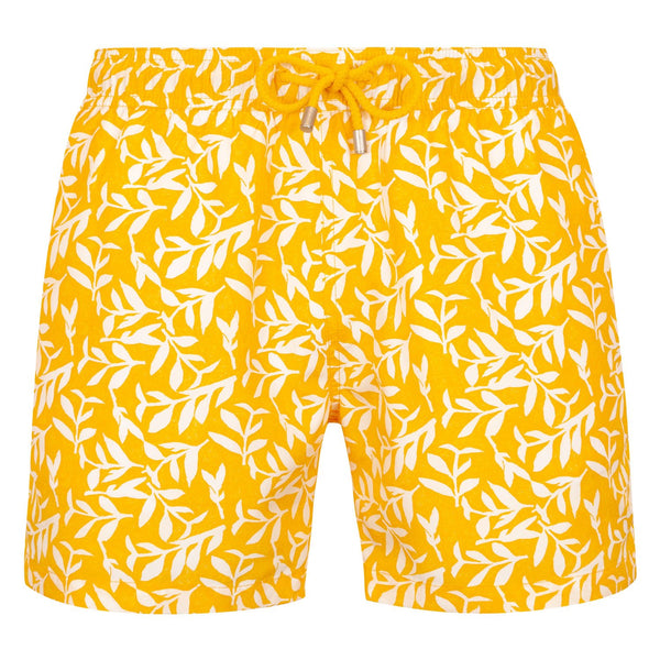 Bluemint logan swimwear