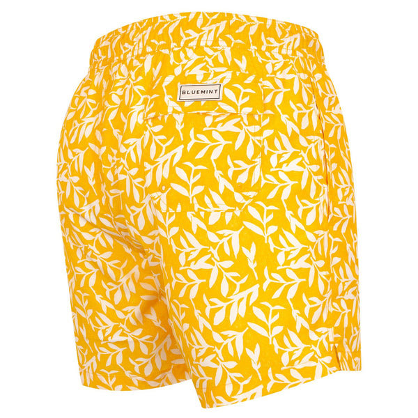 Bluemint logan swimwear