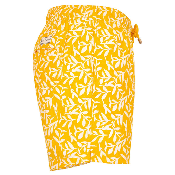 Bluemint logan swimwear