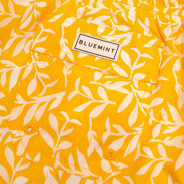 Bluemint logan swimwear