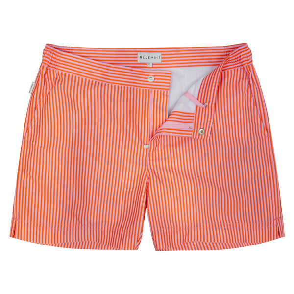 Bluemint andy swimwear