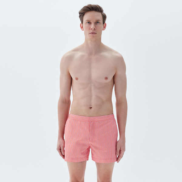 Bluemint andy swimwear