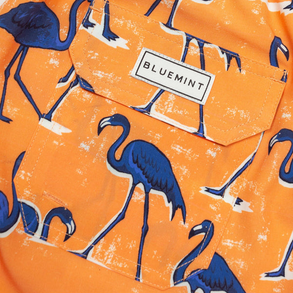 Bluemint arthus stretch swimwear