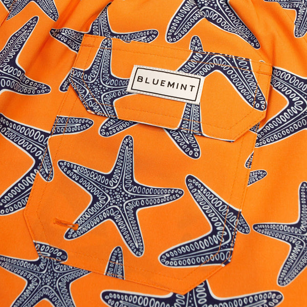 Bluemint arthus stretch swimwear