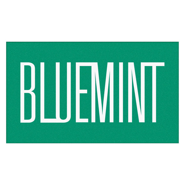 Bluemint hector beach towel
