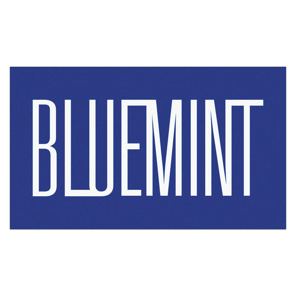 Bluemint hector beach towel