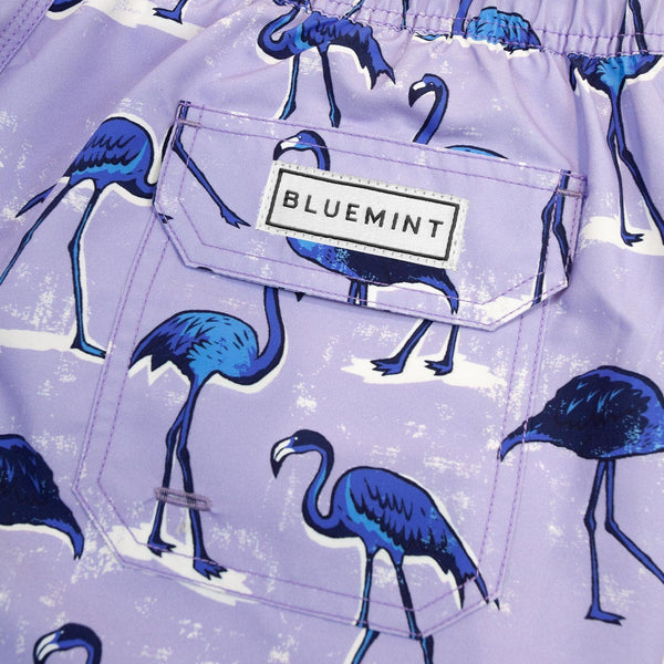 Bluemint arthus boy swimwear