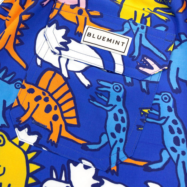 Bluemint arthus boy stretch swimwear