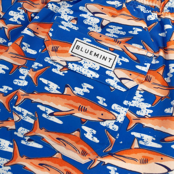 Bluemint arthus boy stretch swimwear