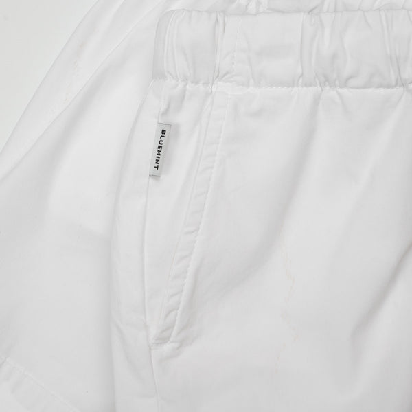 Bluemint stan shorts