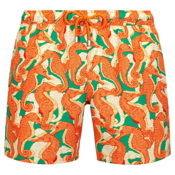 Bluemint arthus swimwear