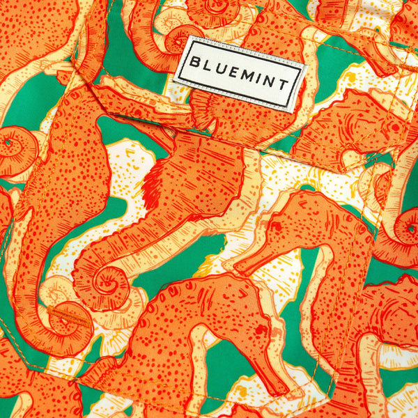 Bluemint arthus swimwear