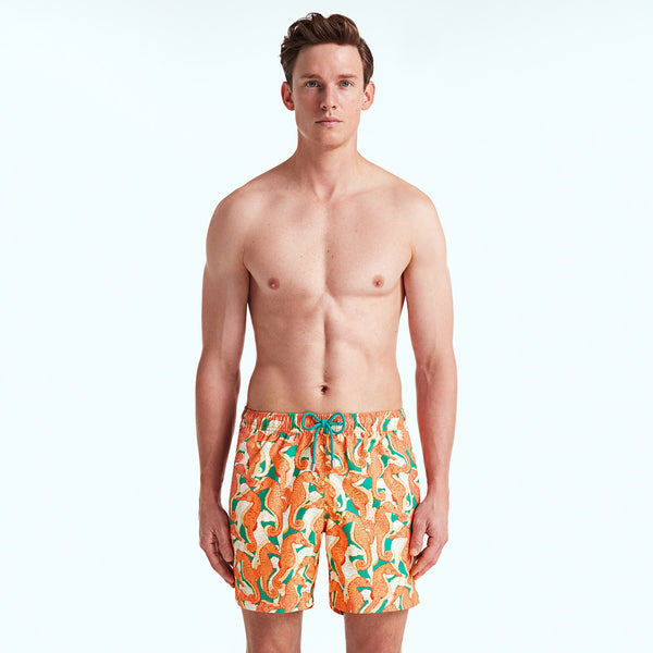 Bluemint arthus swimwear