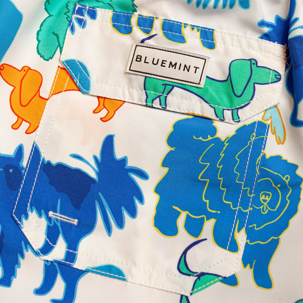 Bluemint arthus swimwear