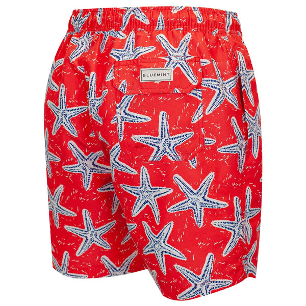 Bluemint arthus swimwear