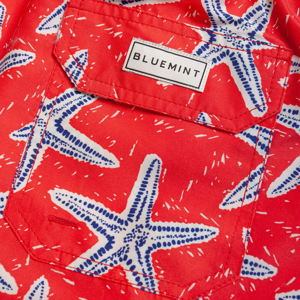 Bluemint arthus swimwear