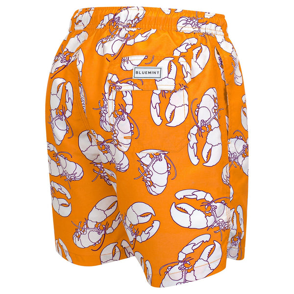 Bluemint arthus swimwear