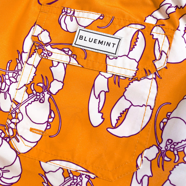 Bluemint arthus swimwear