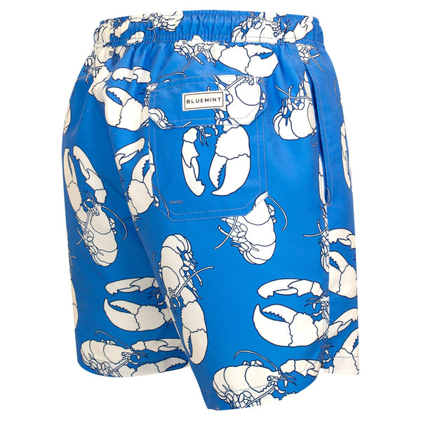 Bluemint arthus swimwear