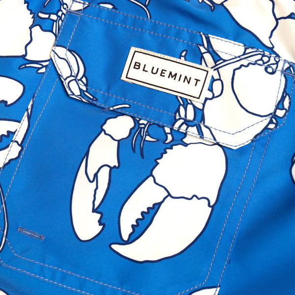 Bluemint arthus swimwear