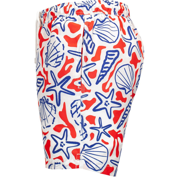 Bluemint arthus swimwear